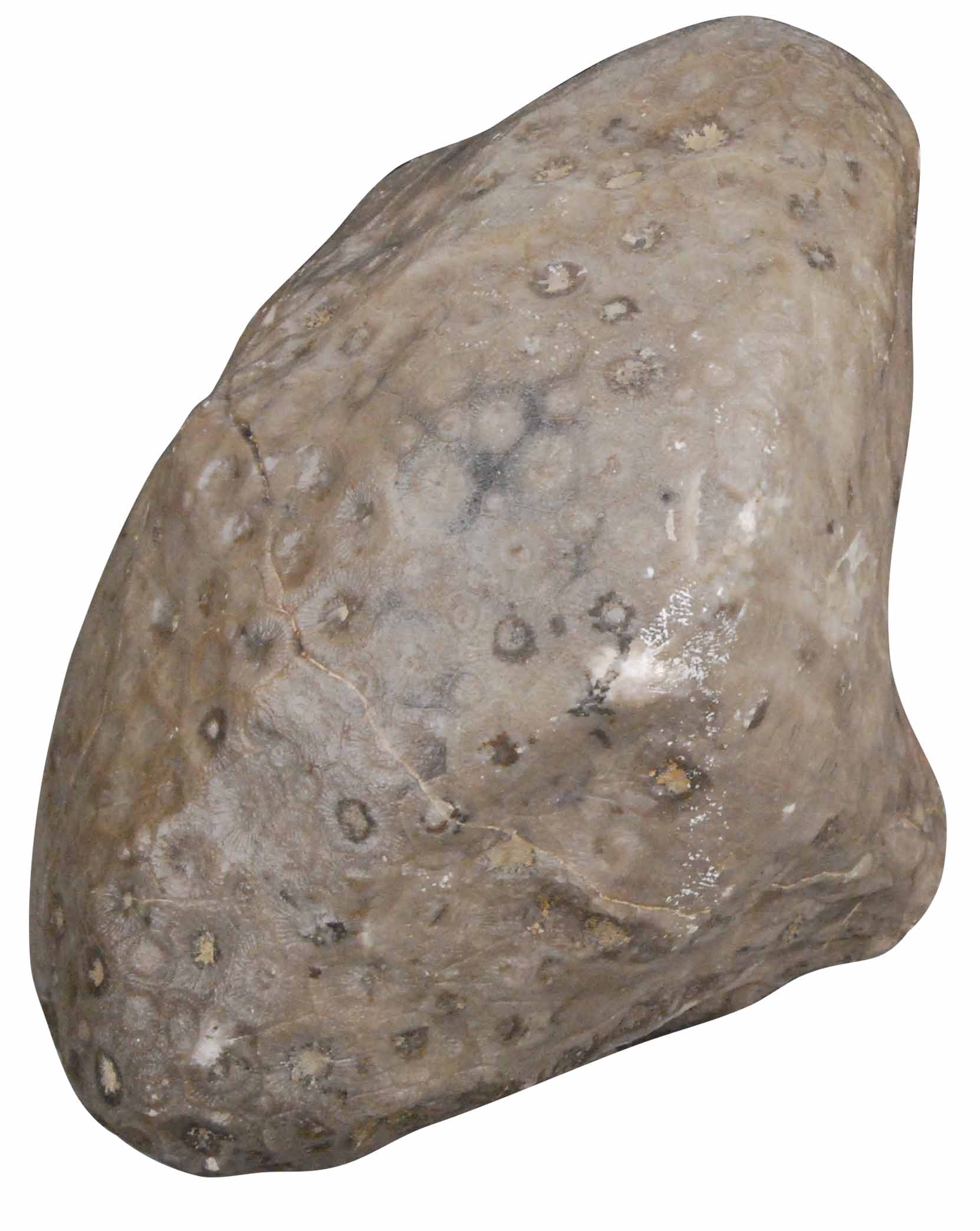 11141-2 11141-2